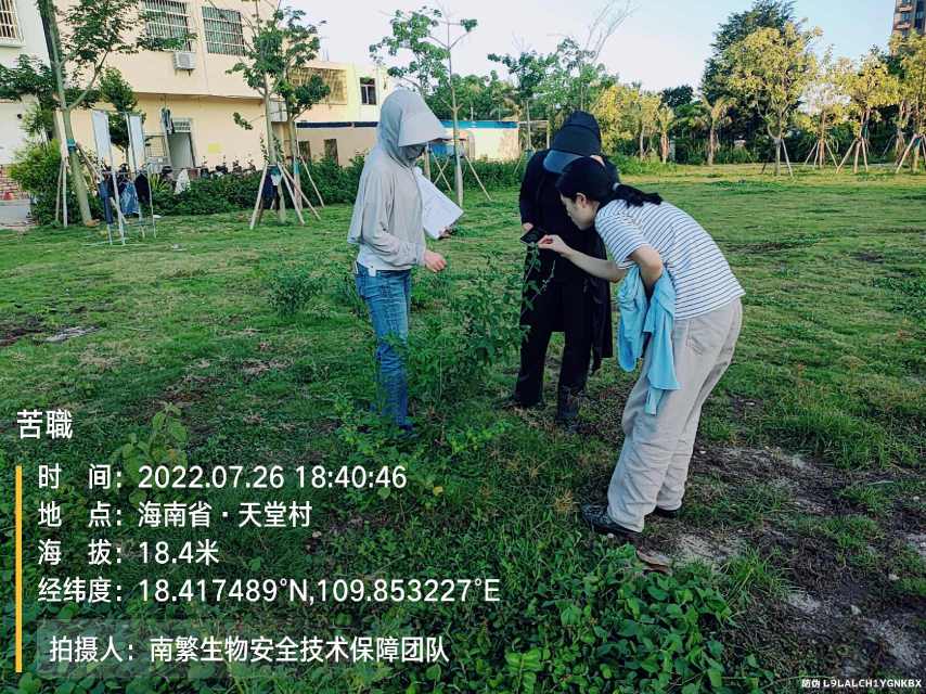 苦職