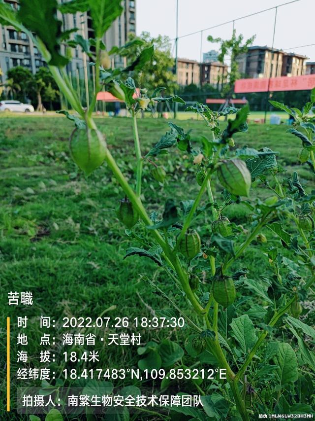 苦職