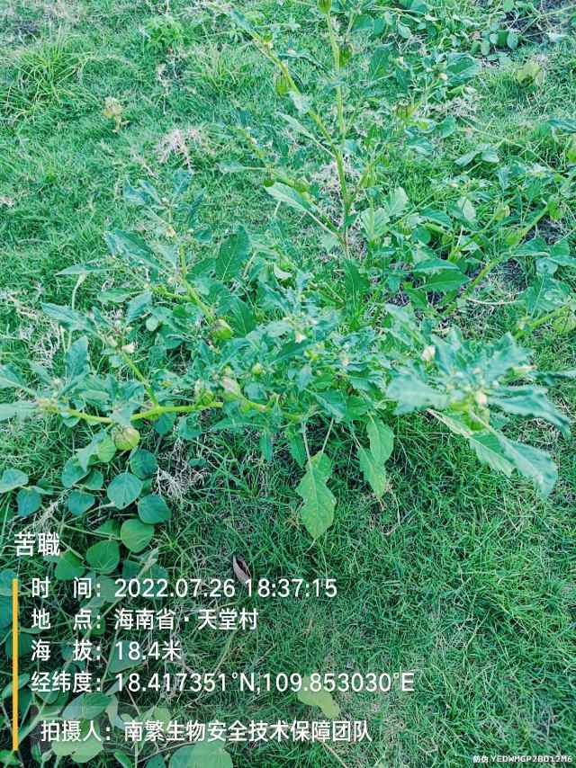苦職