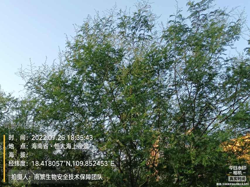 请输入内容…