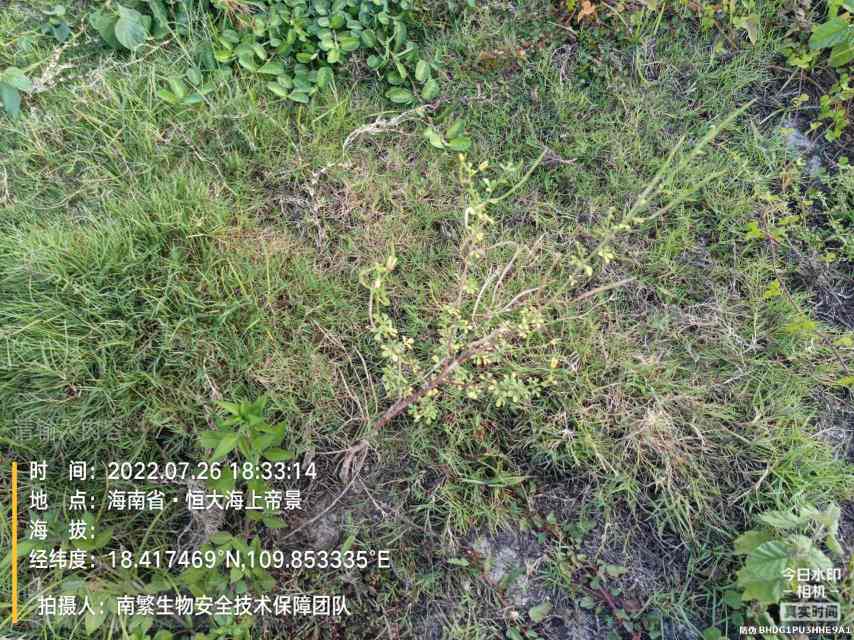 请输入内容…