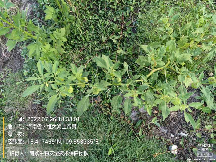 请输入内容…