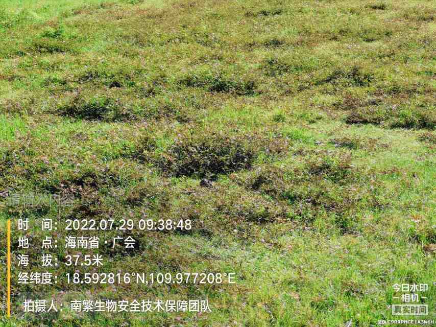 请输入内容…