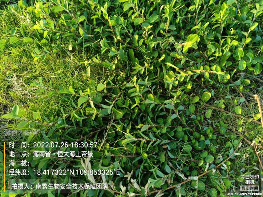 请输入内容…