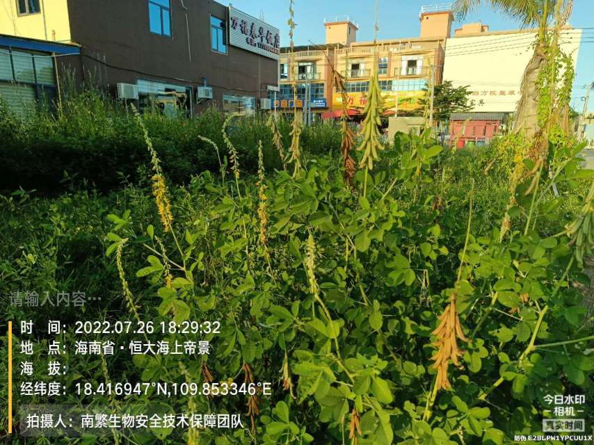 请输入内容…