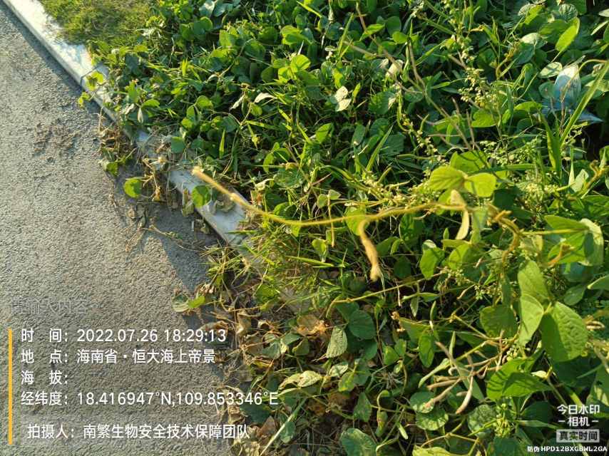 请输入内容…
