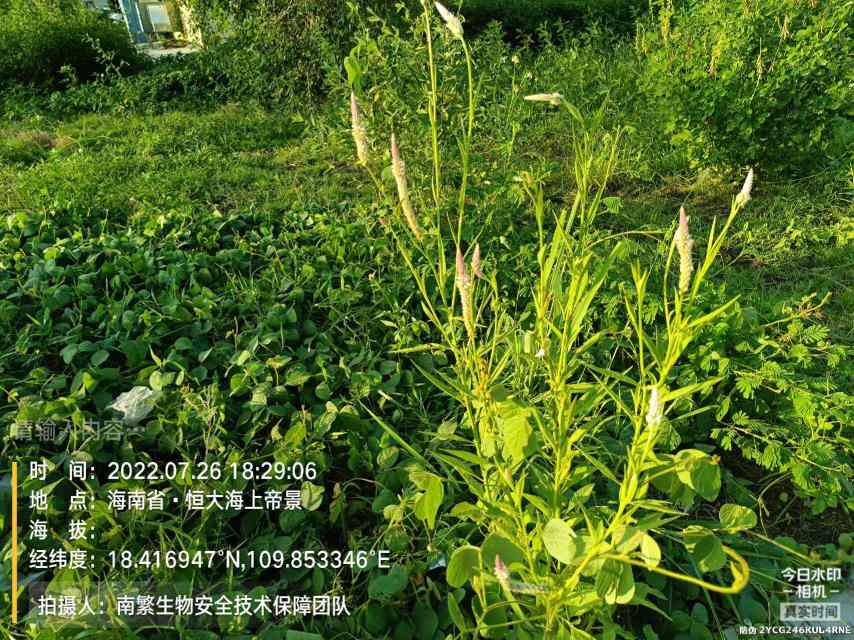 请输入内容…