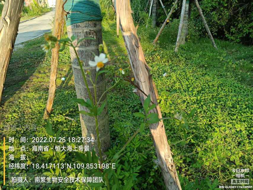 请输入内容…