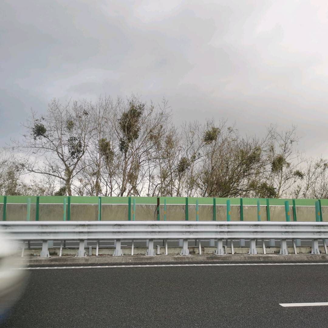 寄生