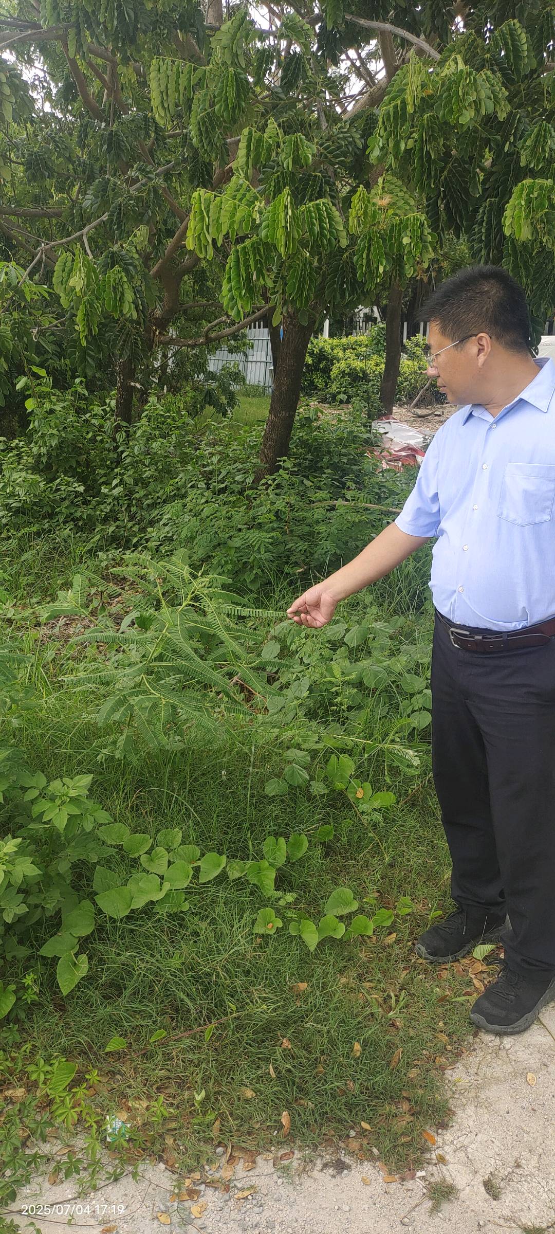 田菁