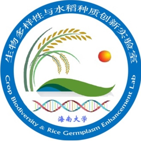 海南大学水稻生物多样性与种质创新实验室